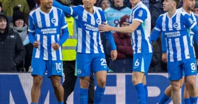 Brighton vs Crystal Palace – Nouvelles et Probables Équipes