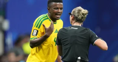 Afrique du Sud
vs
Guinée – Nouvelles et Probables Élévations